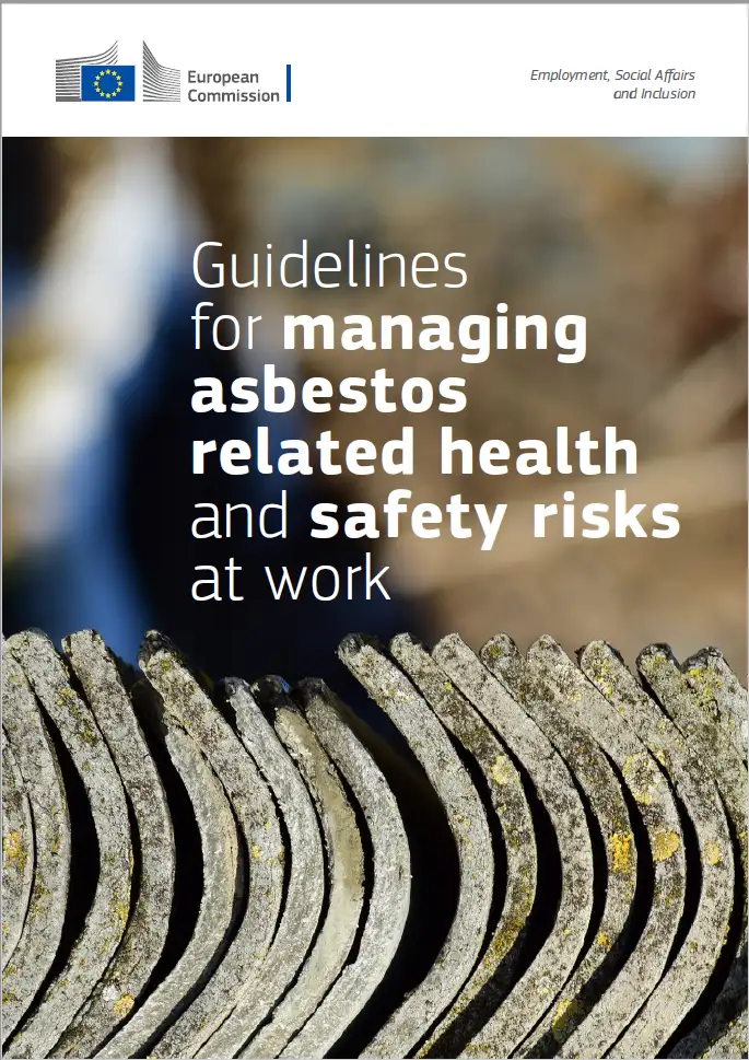 Linee guida gestione dei rischi per la SSL correlati all'amianto Linee guida gestione dei rischi per la SSL correlati all'amianto